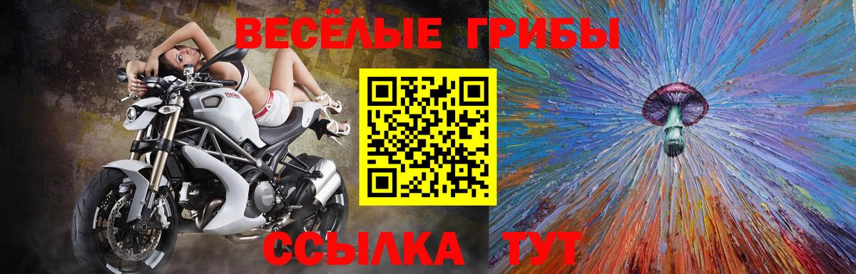 Нурлат  Псилоцибиновые грибы Psilocybe  Вход с VPN 